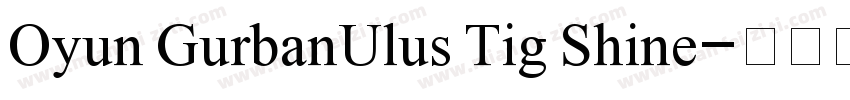 Oyun GurbanUlus Tig Shine字体转换